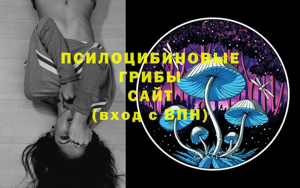 ECSTASY Снежногорск
