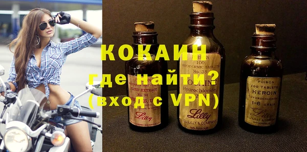 спайс Галич
