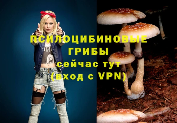 ПСИЛОЦИБИНОВЫЕ ГРИБЫ Слюдянка