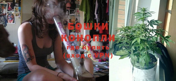 ПСИЛОЦИБИНОВЫЕ ГРИБЫ Слюдянка