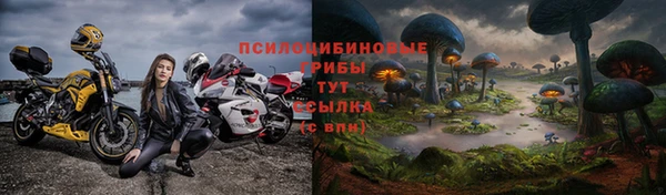 ПСИЛОЦИБИНОВЫЕ ГРИБЫ Гатчина