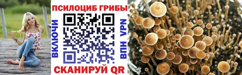 Галлюциногенные грибы GOLDEN TEACHER  omg ссылка  Ленинградская  где купить наркоту 